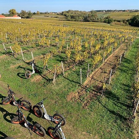 Maison 15 Sauternes Kültér fotó