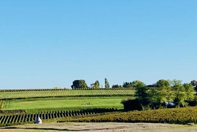 Maison 15 Sauternes Kültér fotó