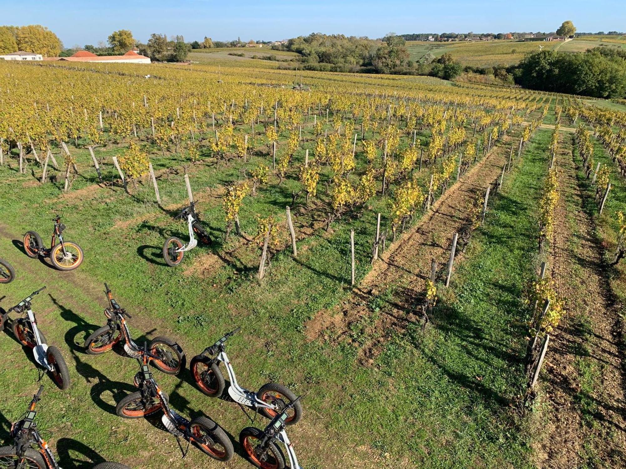 Maison 15 Sauternes Kültér fotó